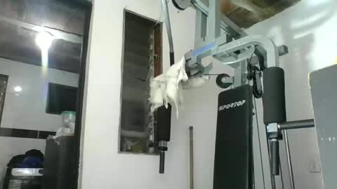 m0ntana777 online show from September 15, 10:28 am