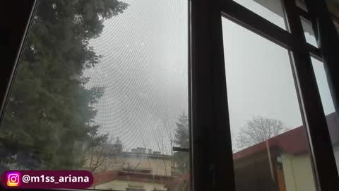 Ariana online show from December 17, 8:21 am