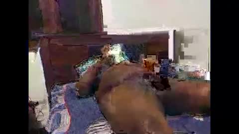 maheel84 online show from January 13, 5:43 pm