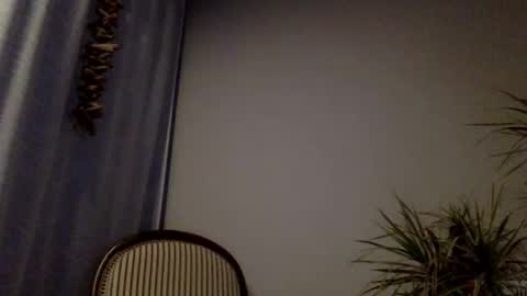 maisch82 online show from December 6, 12:40 am