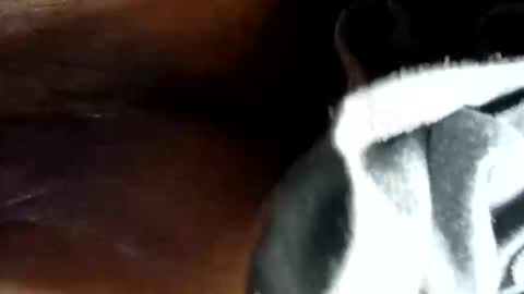 makeunumb88 online show from March 30, 2:50 pm