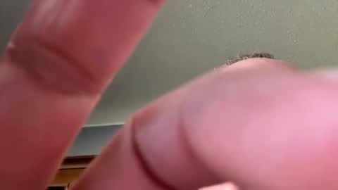 Snapshot of makeyousquirt1969 chatting on October 22, 7:48 pm makeyousquirt1969 online show from October 22, 7:48 pm