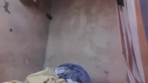 malalazah online show from March 8, 6:06 am