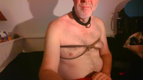 Snapshot of malebdsmslut chatting on February 16, 8:21 am CommandbondageNipples bondage kink submissive lovense slave wgear. modequiethvyBondage If Password goldfish online show from February 16, 8:21 am