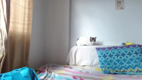 Malita online show from November 19, 8:40 pm