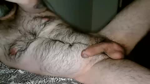 Man Dime Bear17 online show from December 27, 5:31 am