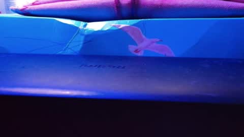 Daniel toyboy 97 online show from November 19, 7:40 am