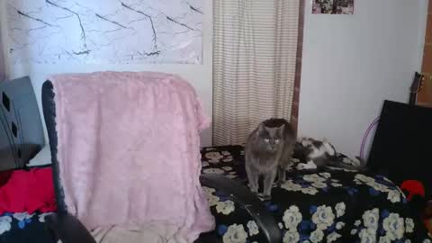 mariaajuana_ online show from March 17, 3:50 pm