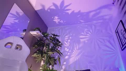 Vane online show from December 18, 7:47 am