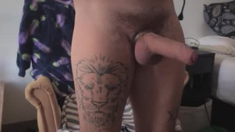 masachusset online show from November 29, 10:56 am