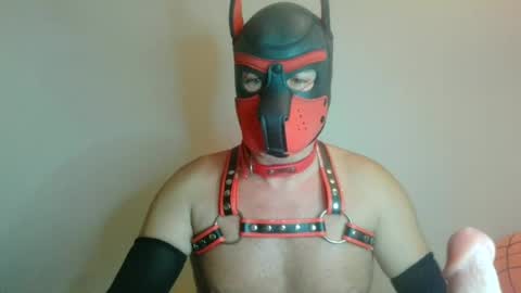 MaskPor2022 online show from July 31, 11:39 pm