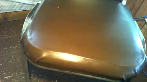 masturbater584277 online show from June 17, 4:01 pm