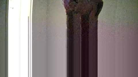 mattpbr1 online show from September 24, 11:06 am