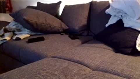 maumau44 online show from December 20, 12:06 am