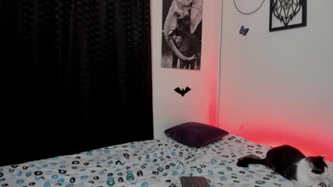 Alex online show from March 3, 4:36 am