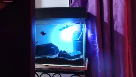 Max online show from March 9, 2:05 am