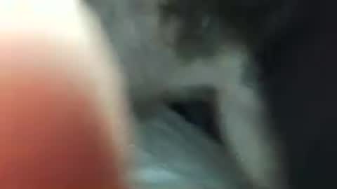 maxxou69hot online show from May 3, 9:59 am