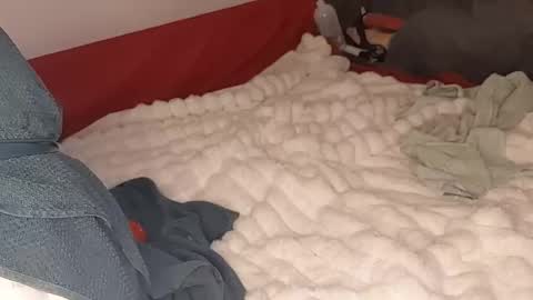 Snapshot of maybeanal chatting on October 12, 5:11 am maybeanal online show from October 12, 5:11 am