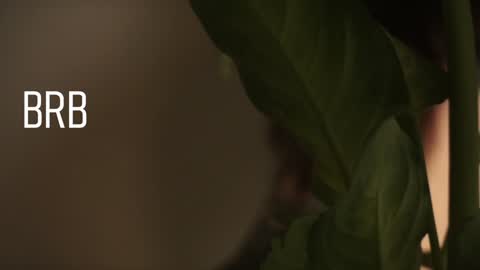 Snapshot of maymary_ chatting on December 28, 8:58 am Mary  . online show from December 28, 8:58 am
