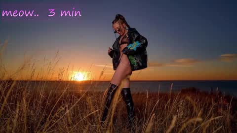 Sweet Meow nonude online show from November 17, 1:08 am