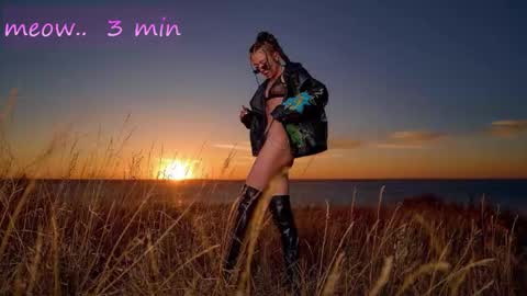 Sweet Meow nonude online show from November 18, 1:08 am