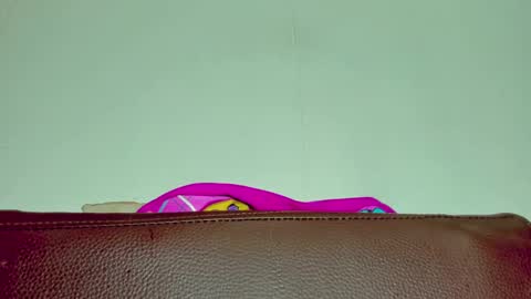 Melania online show from November 11, 1:24 pm