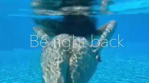 Adel online show from January 12, 7:32 pm