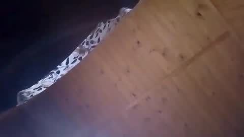 mellodiego760 online show from October 20, 3:55 am