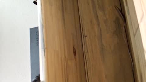 mellomike online show from March 4, 5:32 pm