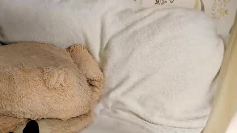 MelMooon online show from March 11, 9:07 pm