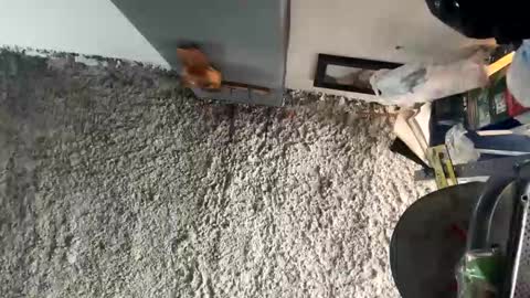 melodysnow online show from January 5, 5:49 pm