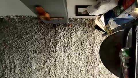 melodysnow online show from January 13, 7:21 pm