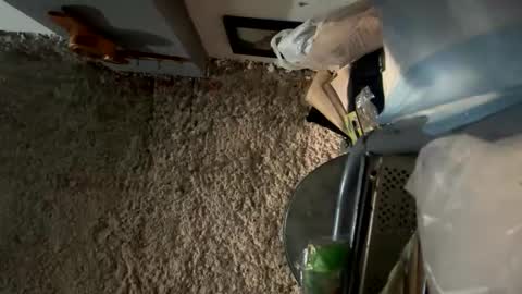 melodysnow online show from January 8, 12:44 pm