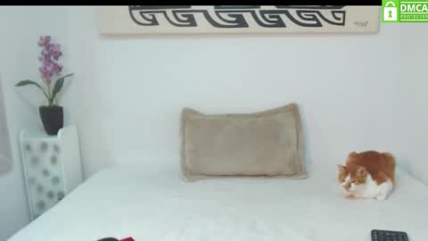 Snapshot of mich_bonett chatting on October 20, 1:05 pm Mich Bonett online show from October 20, 1:05 pm