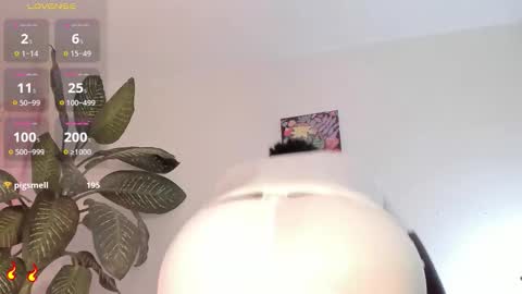 Michaell online show from February 23, 10:01 pm