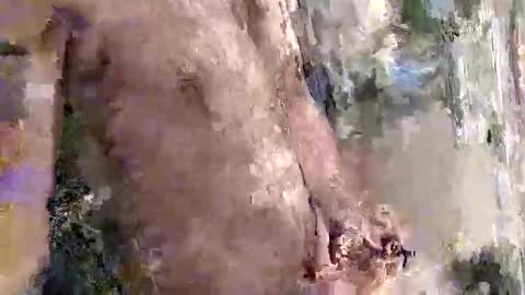 mickavis1975 online show from April 2, 4:53 am