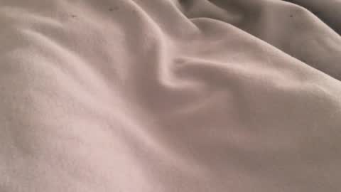 Midnight Rider online show from September 29, 5:23 pm