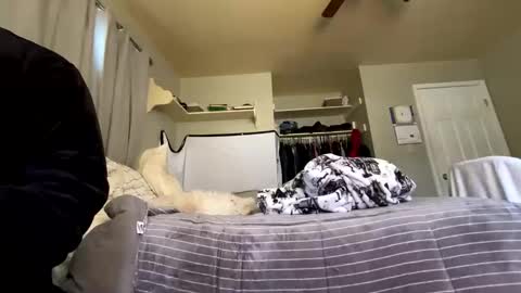 mik138 online show from January 7, 4:34 pm