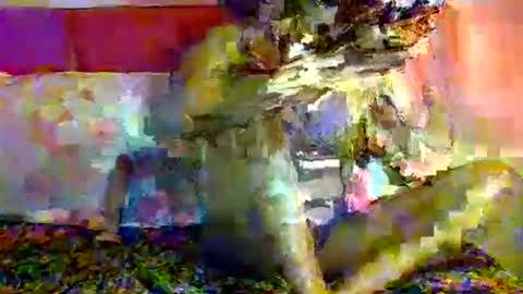 ayannamil online show from March 28, 6:53 pm