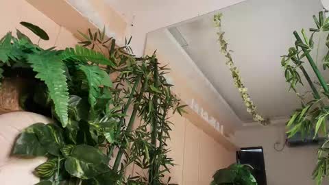 Miranda online show from October 23, 2:40 pm