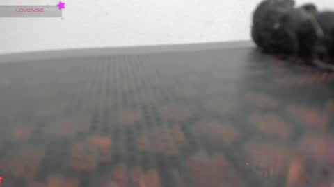 Vane online show from April 1, 11:12 pm