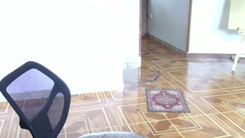     online show from March 8, 2:43 pm