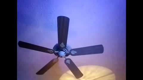 BobbyMitchGa online show from January 20, 5:59 am