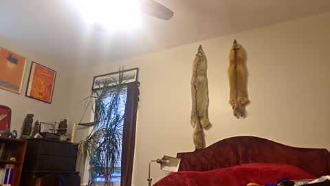 cum show j online show from September 25, 11:56 pm