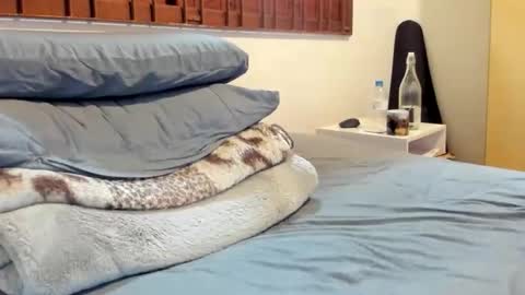 DigBreed online show from December 23, 11:16 am