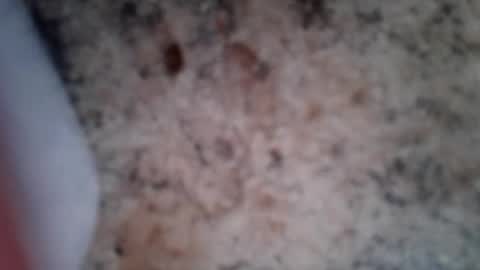 Pnisxxl online show from December 21, 6:03 pm