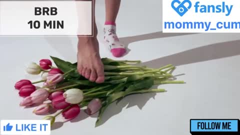 Mommy online show from March 6, 5:46 am