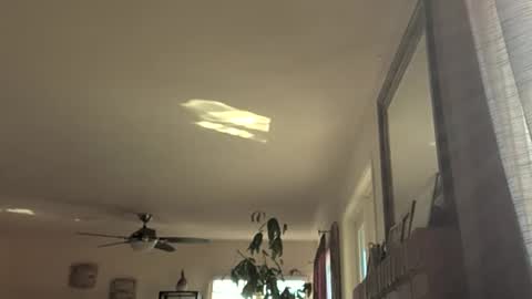 Monkee Dance online show from November 18, 9:18 pm