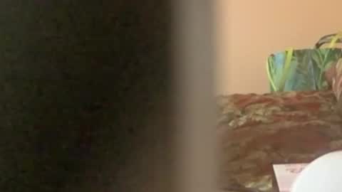 montydxxx2 online show from September 12, 7:38 pm