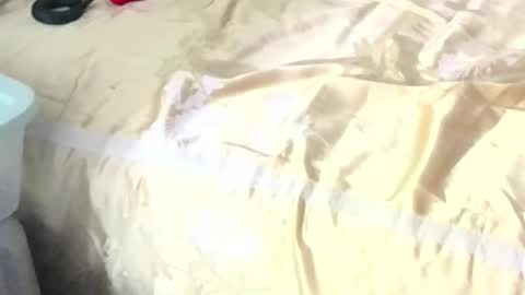 montydxxx2 online show from February 15, 11:09 am